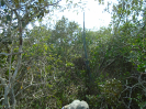 BA_854-P34_4_183