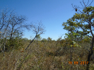 BA_869_F5_4