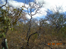 BA_871_F3_pan