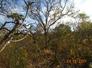 BA_871_F5_4