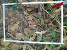 BA_903_1_86c