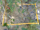BA_941_2_128d