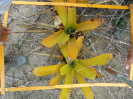 BA_941_3_140a