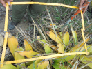 BA_941_3_141b