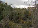 BA_941_4_131