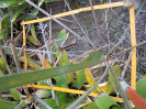BA_941_4_132a