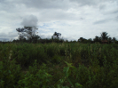 BA_945_3_61