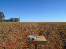 BA_948_F3_pan