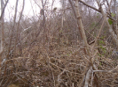 BA_979_3_497