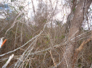 BA_979_4_470