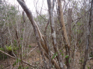 BA_980_0_457