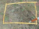 BA_980_2_22a