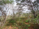 BA_981_3_405