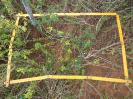 BA_981_4_416d