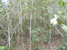 BA_983_0_82