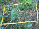 BA_983_1_86a