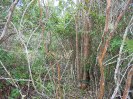 BA_983_3_102