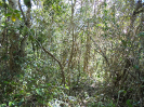 BA_983_4_106