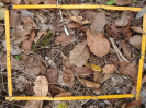 BA_985_2_576b