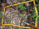 BA_985_4_587a