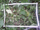 CE_100_P23_1_2198c