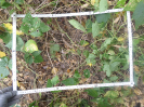 CE_100_P23_1_2199d