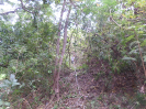 CE_100_P23_2_2200