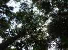 CE_116_E_0_3011b