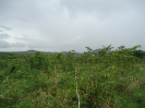 CE_117_3_3806