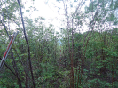 CE_117_4_3811