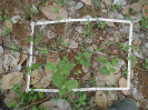 CE_118_3_3395d