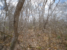 CE_120_3_2671