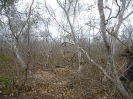 CE_120_4_2687