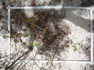 CE_121_4_3112a