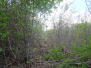CE_121_4_3114