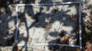 CE_122_3_1197a