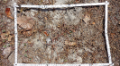 CE_122_3_1198b