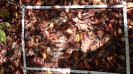 CE_122_4_1204c