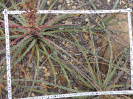 CE_123_3_1897b