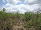 CE_124_3_3750