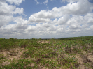 CE_124_4_3755