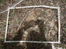 CE_125_4_3728a