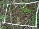 CE_127_3_3350c