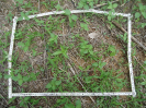 CE_127_4_3355c
