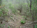 CE_132_2_3863