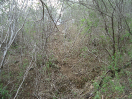 CE_132_3_3868