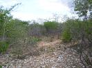 CE_133_2_860