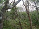 CE_143_2_3767