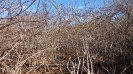CE_157_0_1513