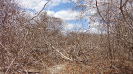 CE_157_1_1533
